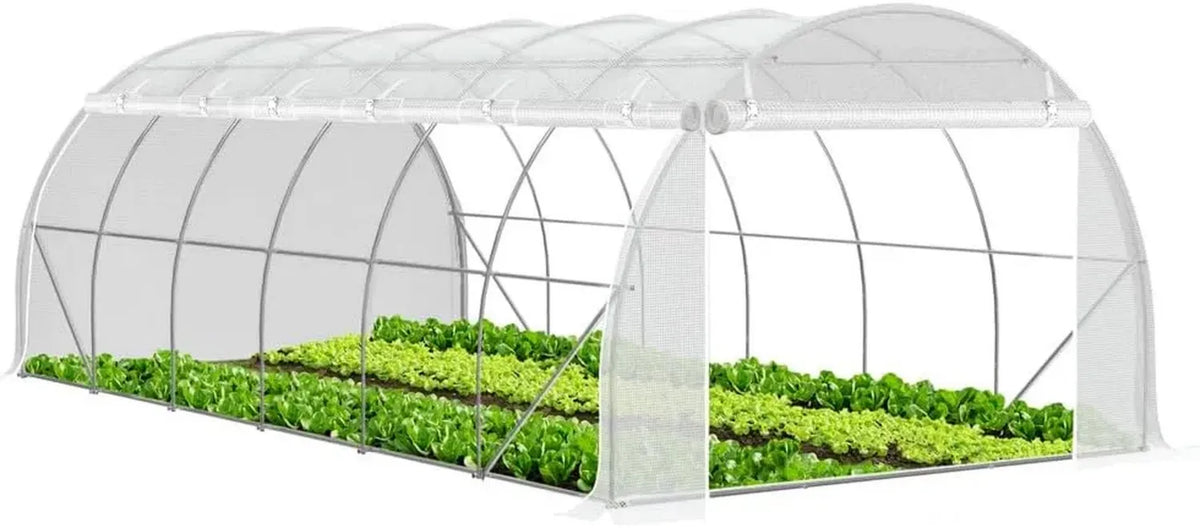 Serra da Giardino a Tunnel con Finestre Arrotolabili 6x3x2m, Protezione per Piante e Colture