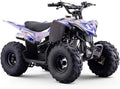 Quadro Bambini 110cc Roan Dakar Automatico Blu, Età 7+