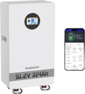 Batteria al Litio LiFePO4 48V 300Ah con BMS 200A, 16KWh, 8000+ Cicli per Sistemi Solari e Camper Off-Grid